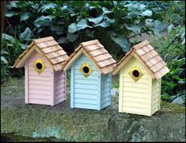 Image of bird 17.jpg