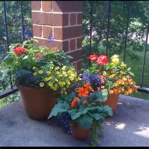 Image of combo 2.jpg