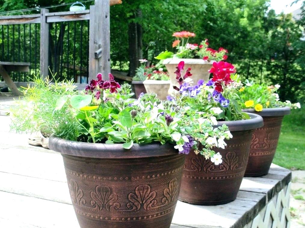 Image of giant pots 1.jpg