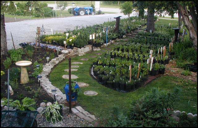 Image of perennials 34.jpg